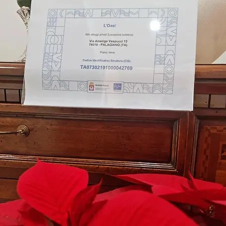 L' Oasi *