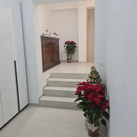 L' Oasi *